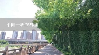 平阳一职在哪里