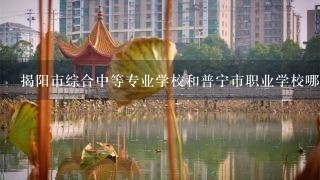 揭阳市综合中等专业学校和普宁市职业学校哪个更好