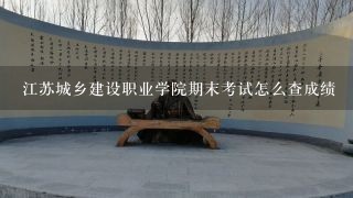 江苏城乡建设职业学院期末考试怎么查成绩