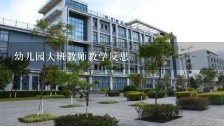 幼儿园大班教师教学反思