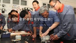 广东轻工业职业技术学院怎样?