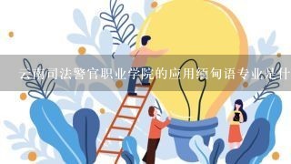 云南司法警官职业学院的应用缅甸语专业是什么？你们用心说说吧