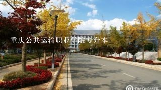 重庆公共运输职业学院专升本
