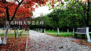 青岛科技大学怎么样