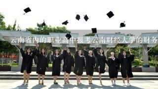 云南省内的职业高中报考云南财经大学的财务管理要多少分？