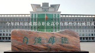 今年4川省成都市职业高中有那些学校被罚黄牌了？