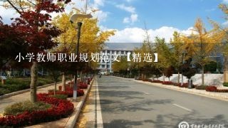 小学教师职业规划范文【精选】