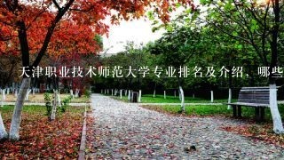 天津职业技术师范大学专业排名及介绍，哪些专业最好？