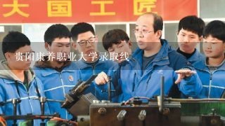 贵阳康养职业大学录取线