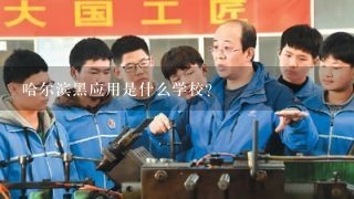 哈尔滨黑应用是什么学校？