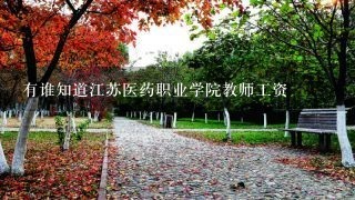 有谁知道江苏医药职业学院教师工资