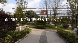 南宁的职业学校的哪些专业有大学？