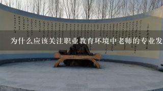 为什么应该关注职业教育环境中老师的专业发展及其对学生的影响