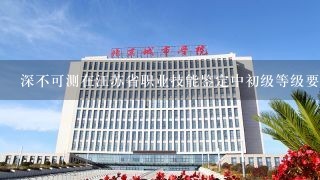 深不可测在江苏省职业技能鉴定中初级等级要求哪些基本能力呢