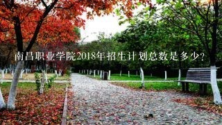 南昌职业学院2018年招生计划总数是多少