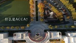 什么是ACCA