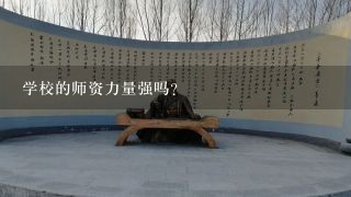 学校的师资力量强吗