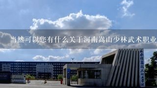 当然可以您有什么关于河南嵩山少林武术职业学院报生办的问题吗