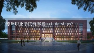 德州职业学院有哪些 scholarships?