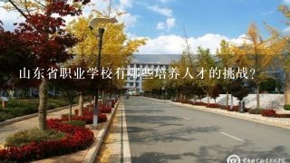 山东省职业学校有哪些培养人才的挑战?