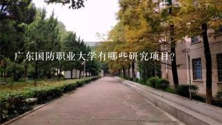 广东国防职业大学有哪些研究项目?