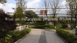 What are the academic programs offered by the engineering school at Jilin University?