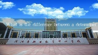 What is the difference between a determiner and a determiner?