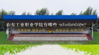 山东工业职业学院有哪些 scholarships?