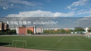 大学院有哪些 scholarships?