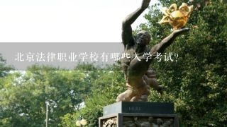 北京法律职业学校有哪些入学考试?