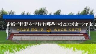 成都工程职业学校有哪些 scholarship for international students?