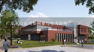 广东水电公司如何参与电力市场?