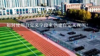 如何使用自定义字段来创建自定义视图?