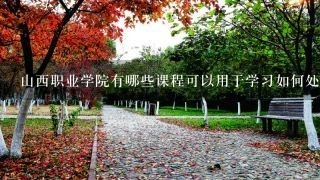 山西职业学院有哪些课程可以用于学习如何处理大型数据?