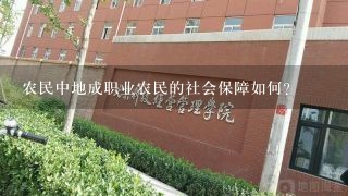 农民中地成职业农民的社会保障如何?