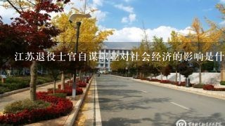 江苏退役士官自谋职业对社会经济的影响是什么?