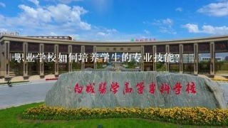 职业学校如何培养学生的专业技能?