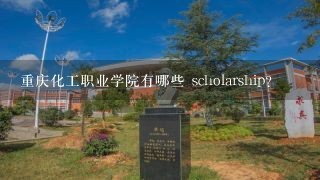 重庆化工职业学院有哪些 scholarship?